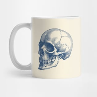 Human Skull - Vintage Anatomy Poster Mug